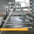 Fabricant d&#39;équipement de volaille Tianrui Layer Poultry Farm House Design